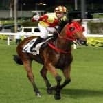 Sample 6 – Horse racing