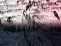 Sample 6 – Chainlink fence
