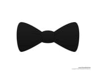 Sample 6 – Bowtie