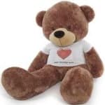 Sample 12 – Teddy bear