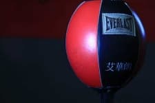 Sample 1 – Punching bag