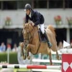 Sample 3 – Horse jumping