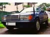 Sample of 190d car