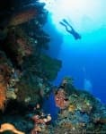 Sample 6 – Scuba diver