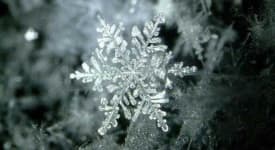 Sample 1 – Snowflake