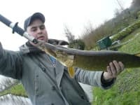Sample 1 – Barracouta