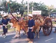 Sample 3 – Oxcart