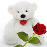 Sample 1 – Teddy bear