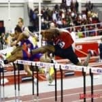 Sample 3 – Hurdles