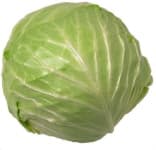 Sample 5 – Cabbage