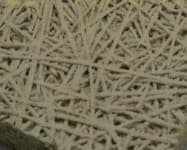 Sample 1 – Fibrous