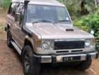 Sample 3 – Pajero car