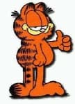 Sample 6 – Garfield