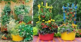 Sample 2 – Garden