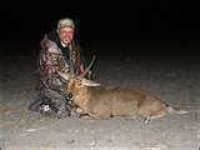 Sample 1 – Hartebeest