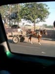 Sample 5 – Horse cart