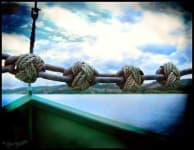Sample 5 – Knot