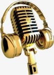 Sample 5 – Microphone