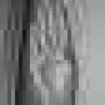 Sample 16 – Hand sign b