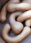 Sample 4 – Butternut squash