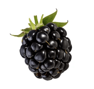 image of blackberry #0