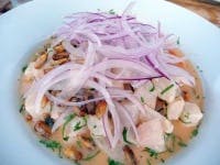 image of ceviche #27